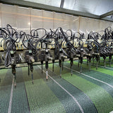 Lawn carpet adhesive line